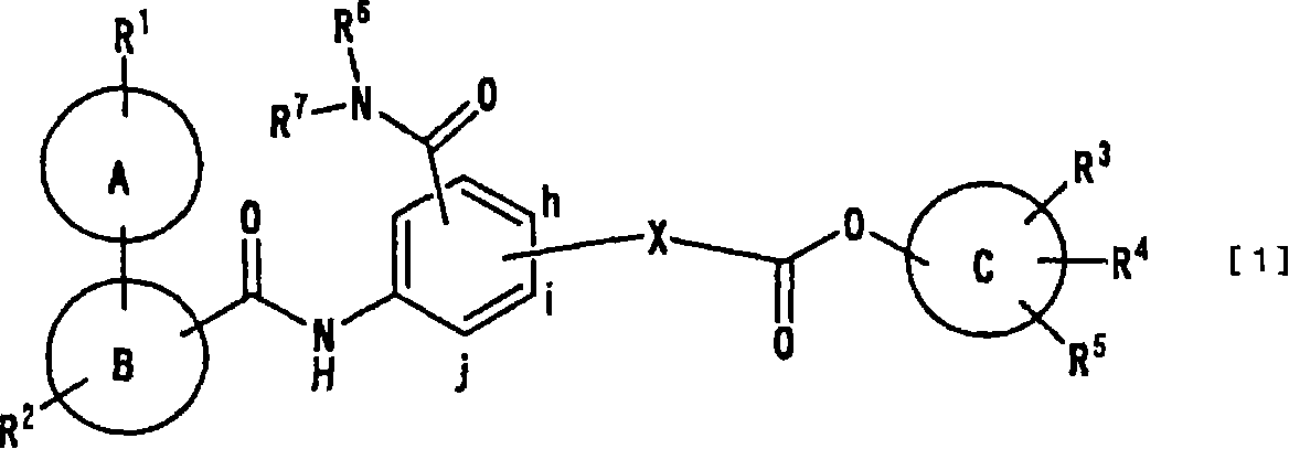 Ester derivatives and medicinal use thereof