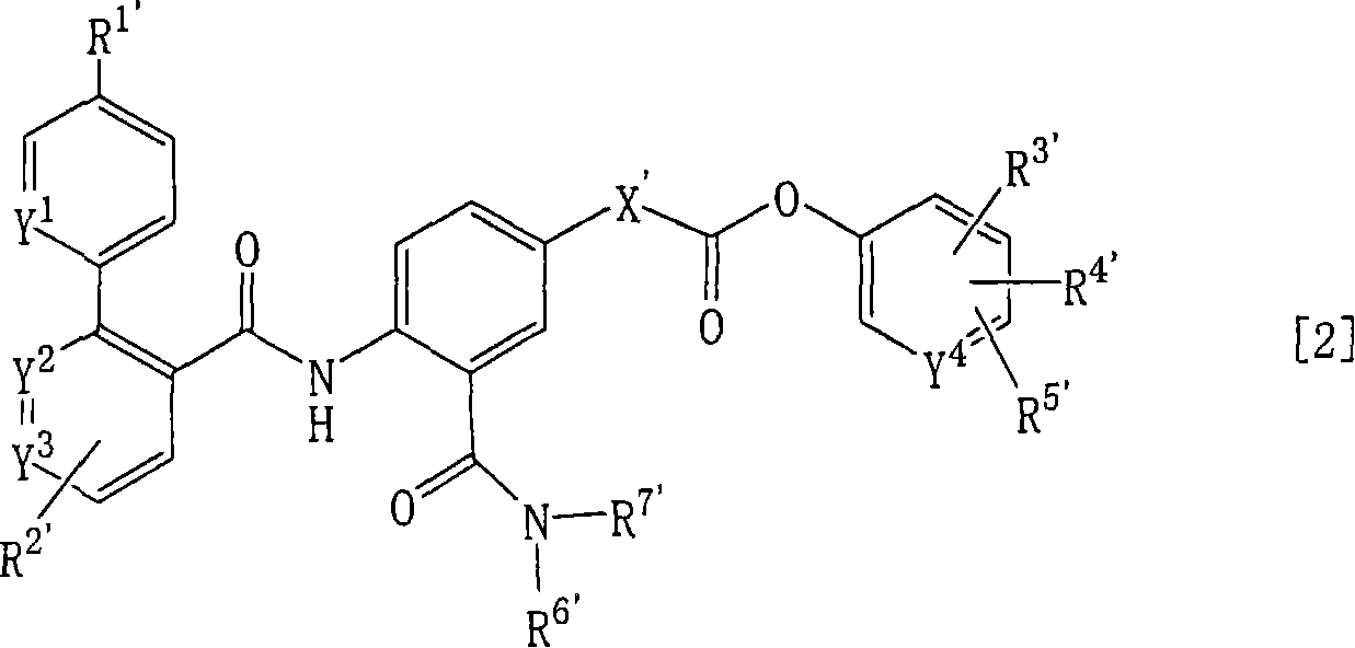 Ester derivatives and medicinal use thereof