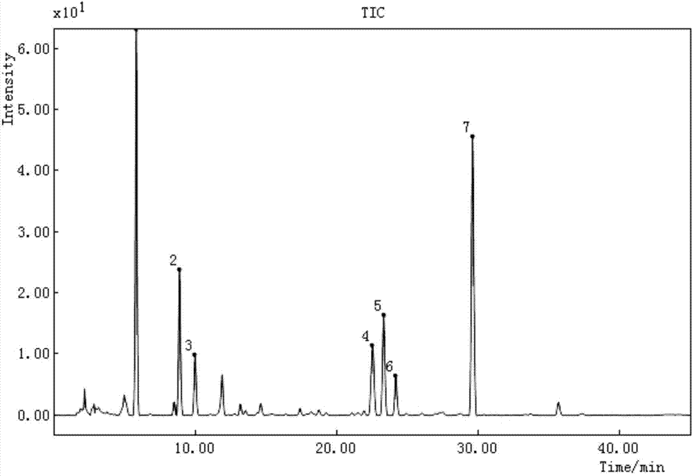 Cordate houttuynia wall-breaking decoction pieces fingerprinting construction and quality detection method thereof