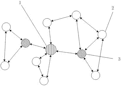 Topology and topology control method of wireless sensor network for maritime search and rescue