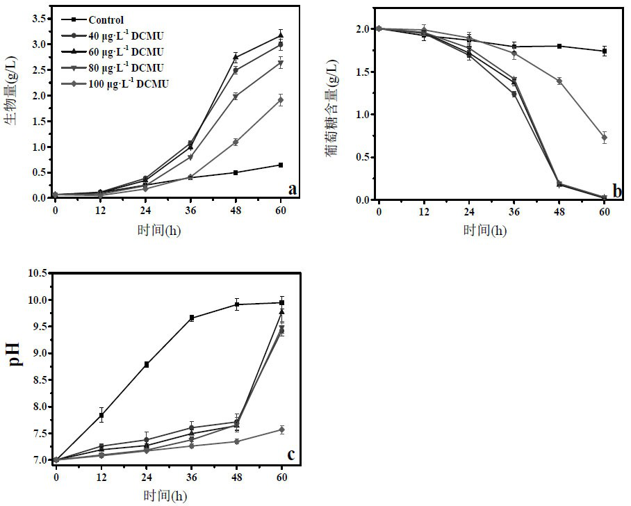 Application of DCMU in stabilizing polyculture growth pH of microalgae or increasing polyculture growth speed of microalgae