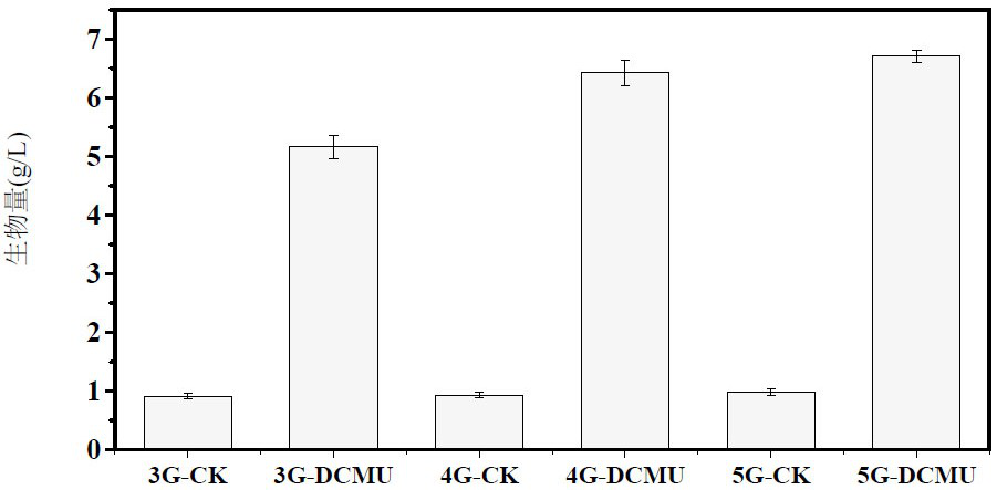 Application of DCMU in stabilizing polyculture growth pH of microalgae or increasing polyculture growth speed of microalgae