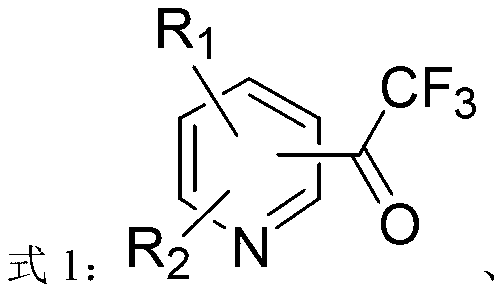 Heterocycle-containing trifluoromethyl ketone compound and preparation method thereof