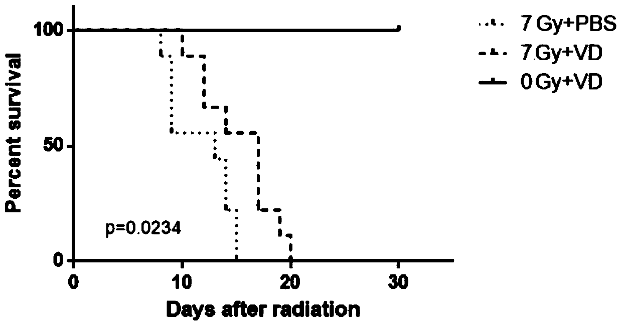 Application of vitamin D in prevention and treatment of intestinal injury caused by radiation