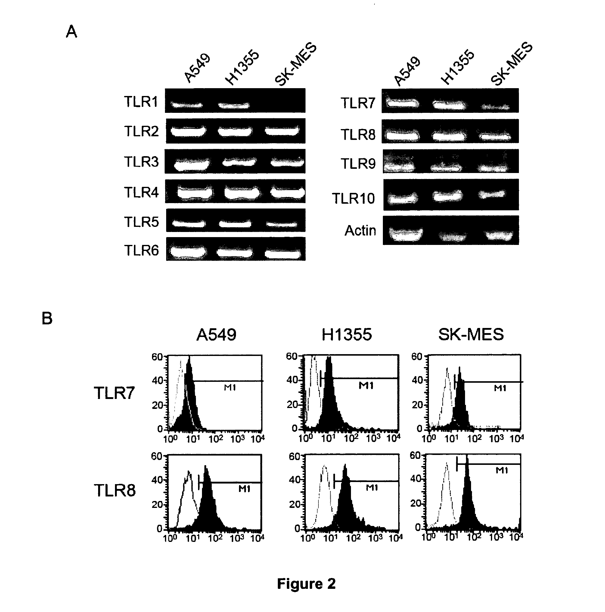 Methods for Predicting the Response to Anti-Cancer Treatment with an Agonist of TLR7 or an Agonist of TLR8