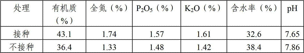 Thermus thermophilus UTM802 and application thereof