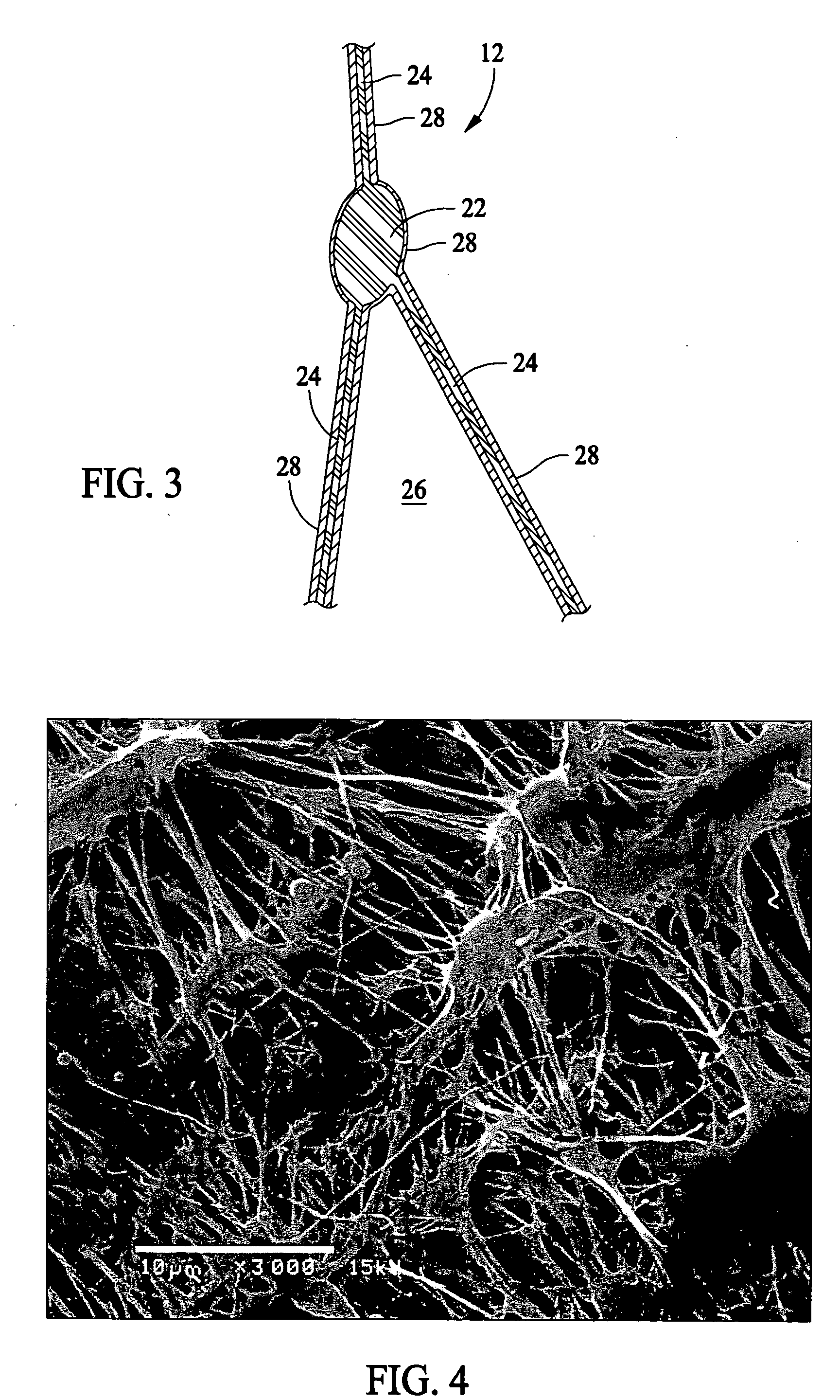 Composite article having hydrophilic properties and method of manufacture