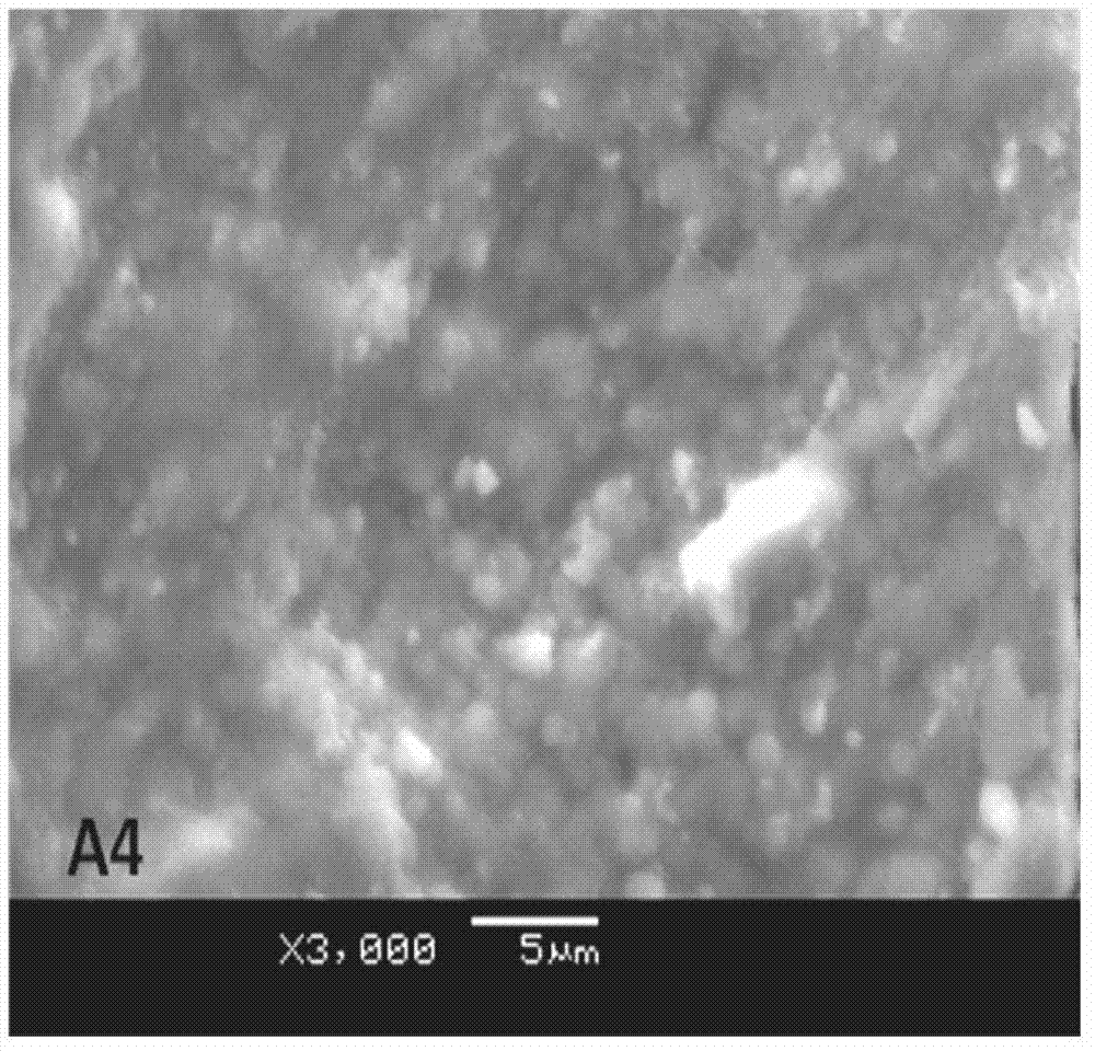 Preparation method of sodalite zeolite membrane