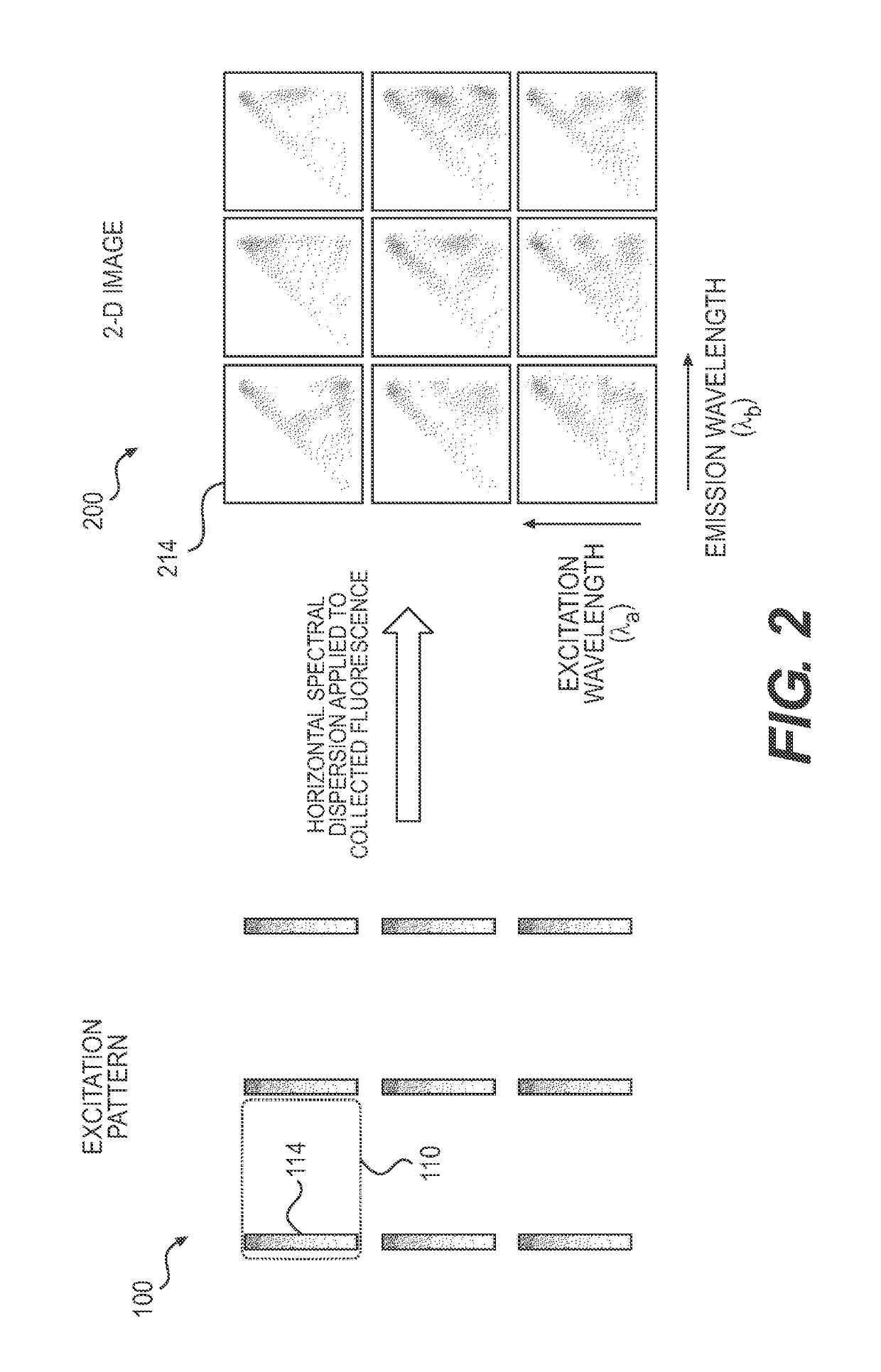 Systems and methods for 4-D hyperspectral imaging