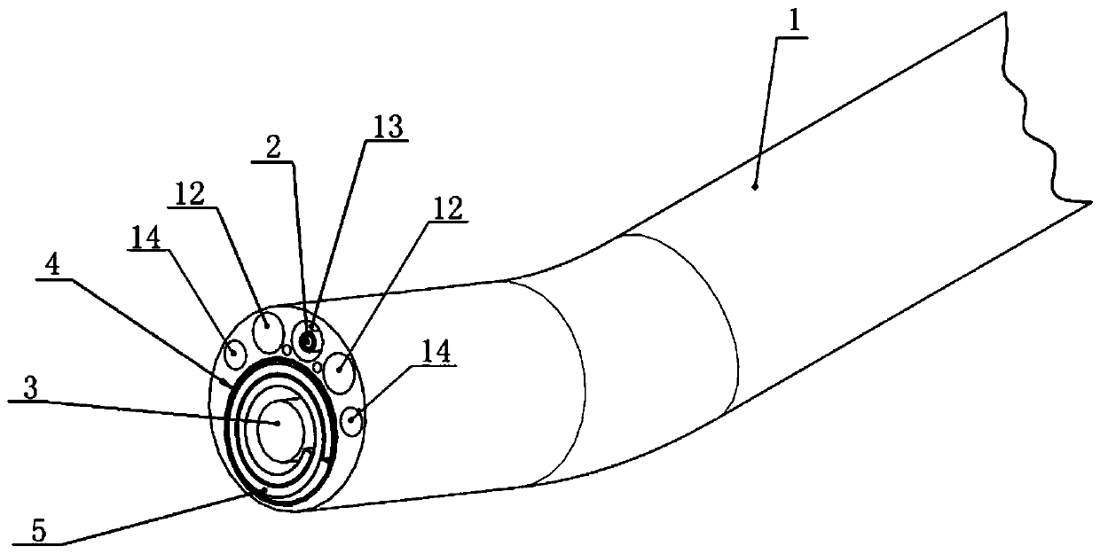 An endoscopic surgical system for endometrium repair and its application