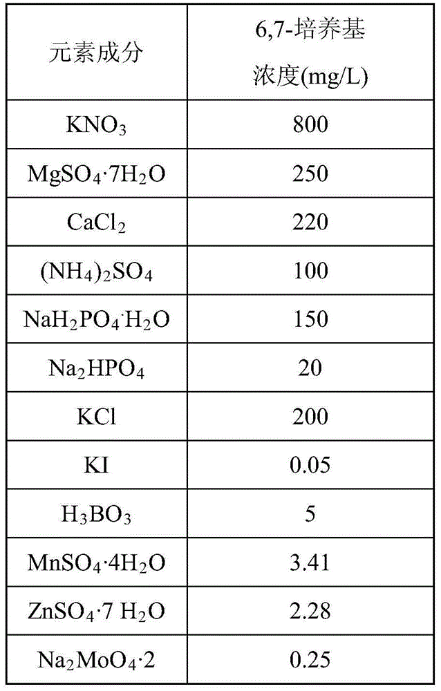 Method for promoting accumulation of rosmarinic acid and salvianolic acid B in Salvia miltiorrhiza hairy roots