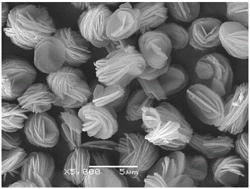 Nano and microstructure lithium ion battery anode material ti  <sub>2</sub> c microspheres and preparation method thereof
