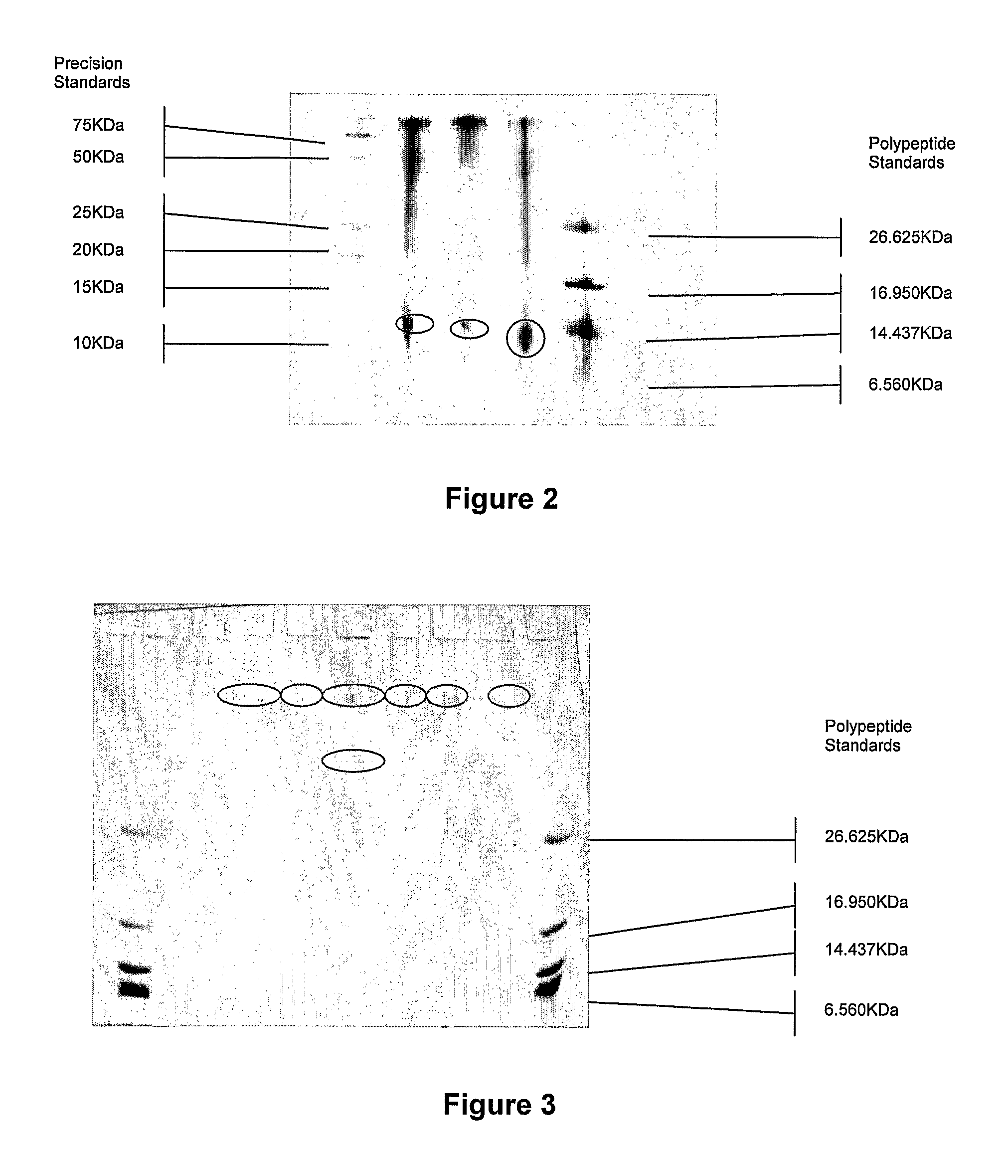 Method for separating keratinous proteins from materials