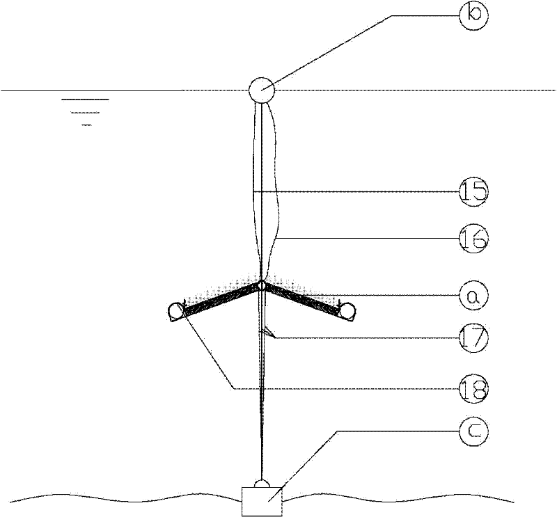 Ecological jellyfish device for water body treatment