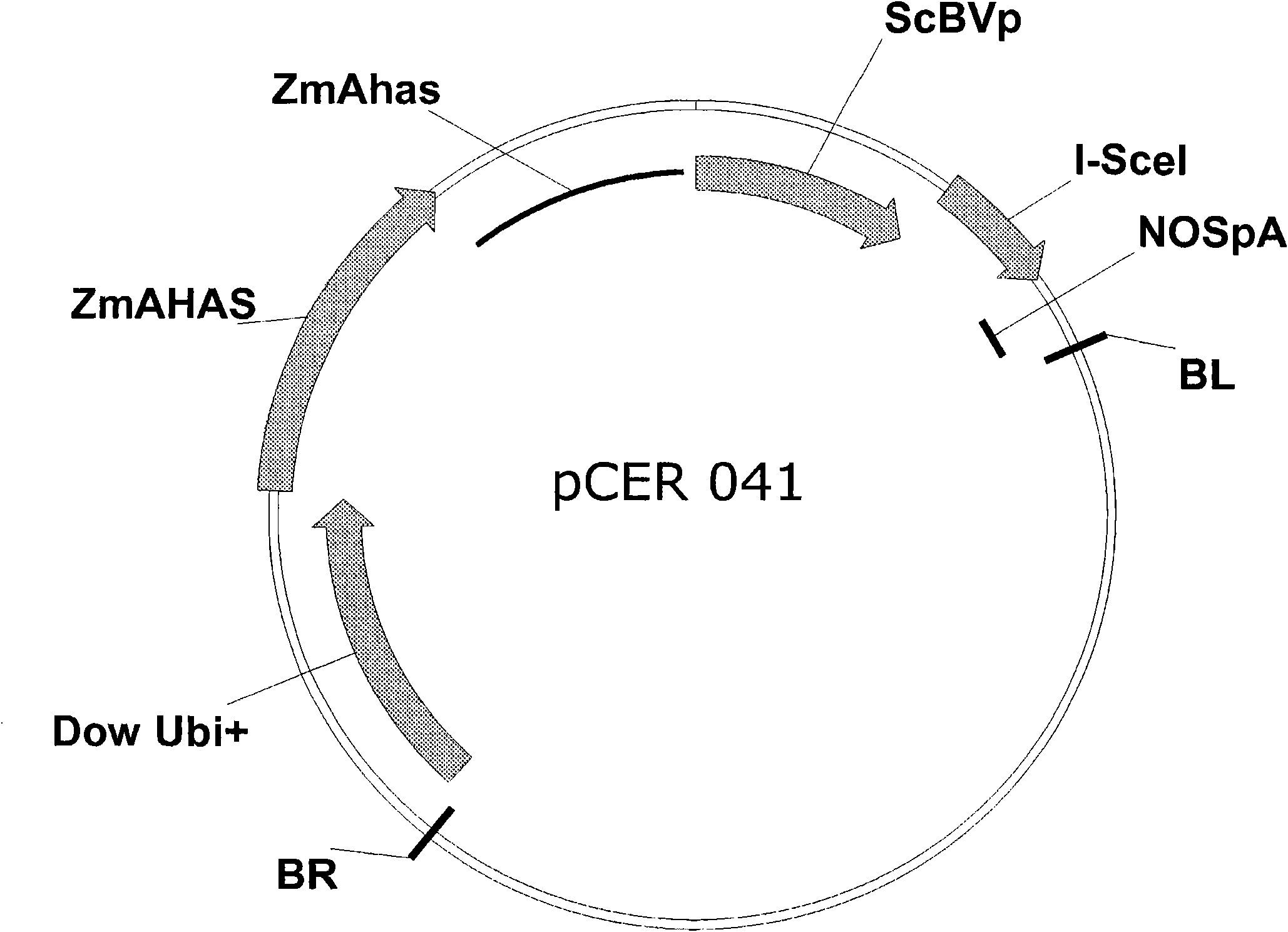Method of excising a nucleic acid sequence from a plant genome