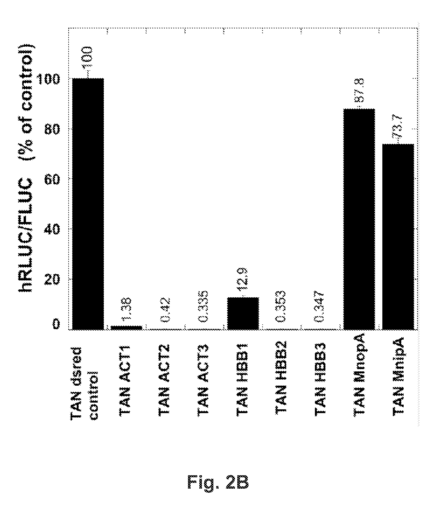 Reporter for RNA Polymerase II Termination