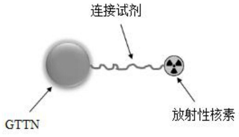 A specific targeting radionuclide marker and its preparation method and application