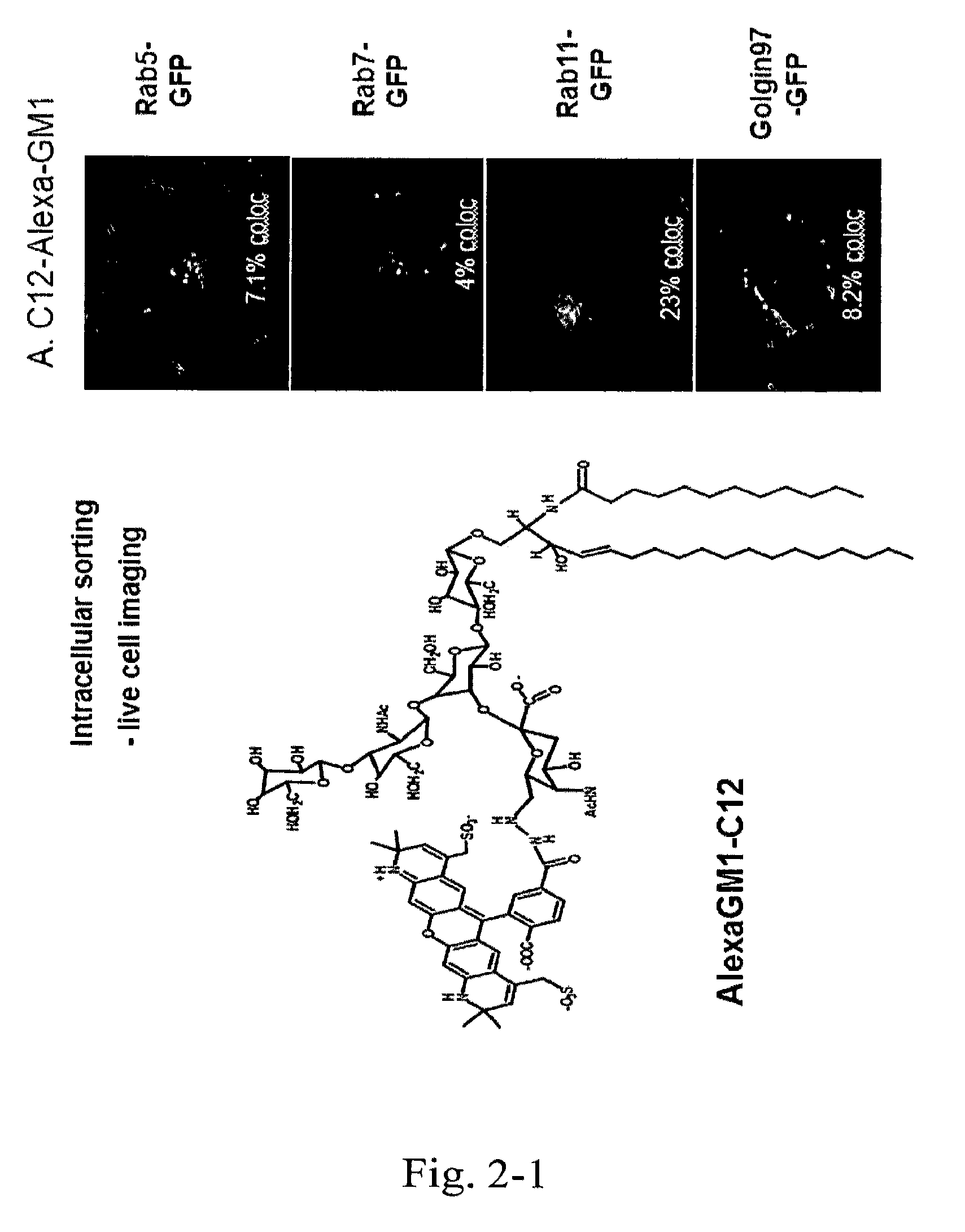 Mucosal delivery of therapeutic molecules, proteins, or particles coupled to ceramide lipids