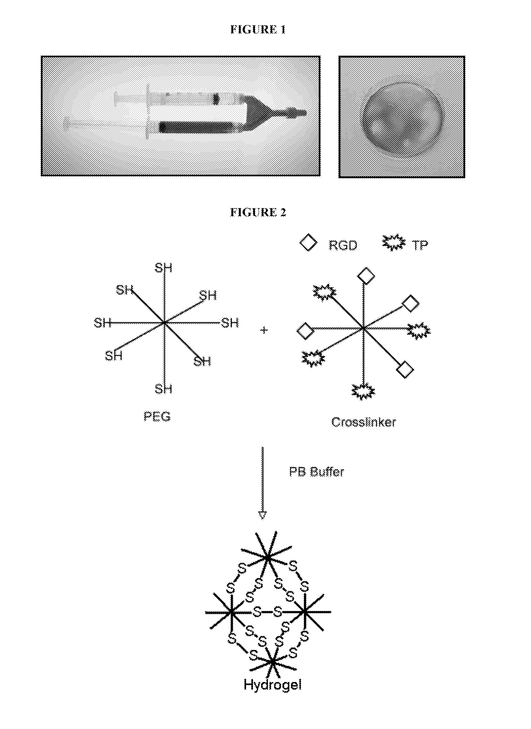 Multifunctional biodegradable peg nanocarrier-based hydrogels for preventing HIV transmission