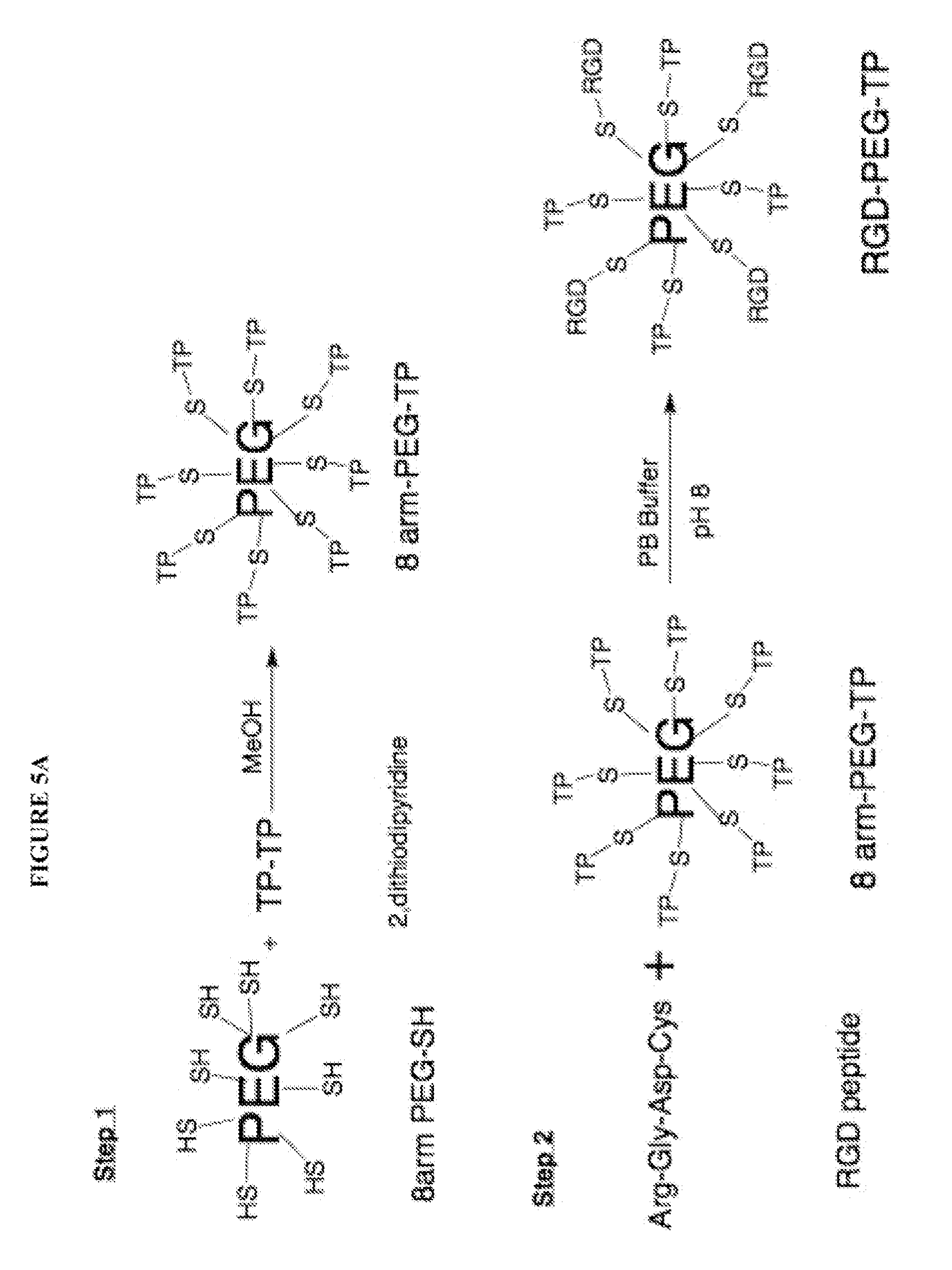 Multifunctional biodegradable peg nanocarrier-based hydrogels for preventing HIV transmission