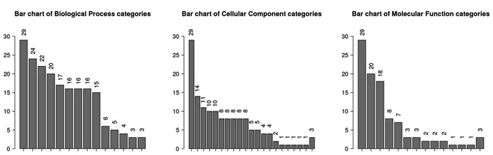 Molecular marker for antenatal noninvasive diagnosis of fetus with neural tube malformation, congenital heart disease or cleft lip and palate and application of molecular marker