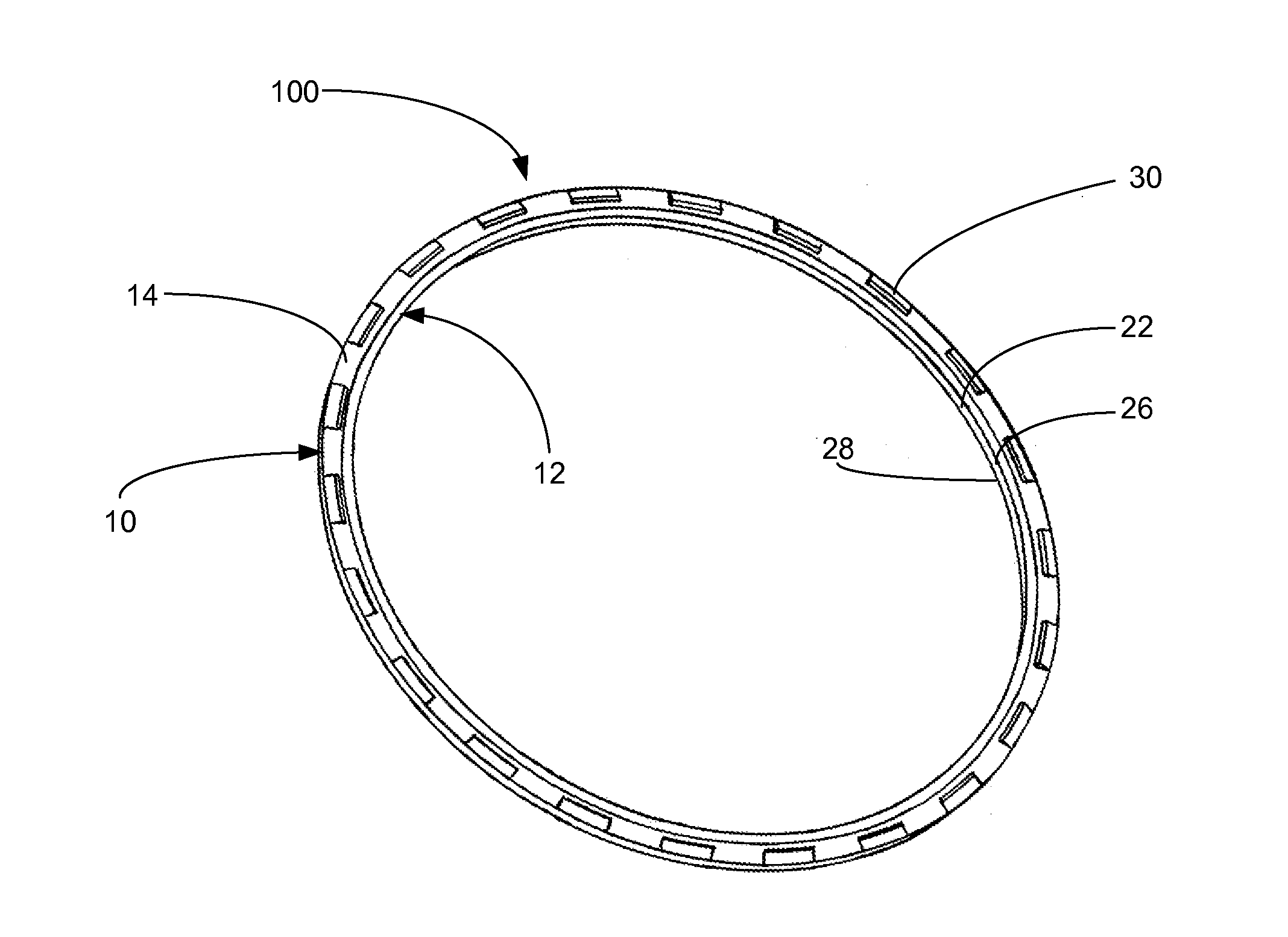 Shaft seal ring with Anti-rotation features