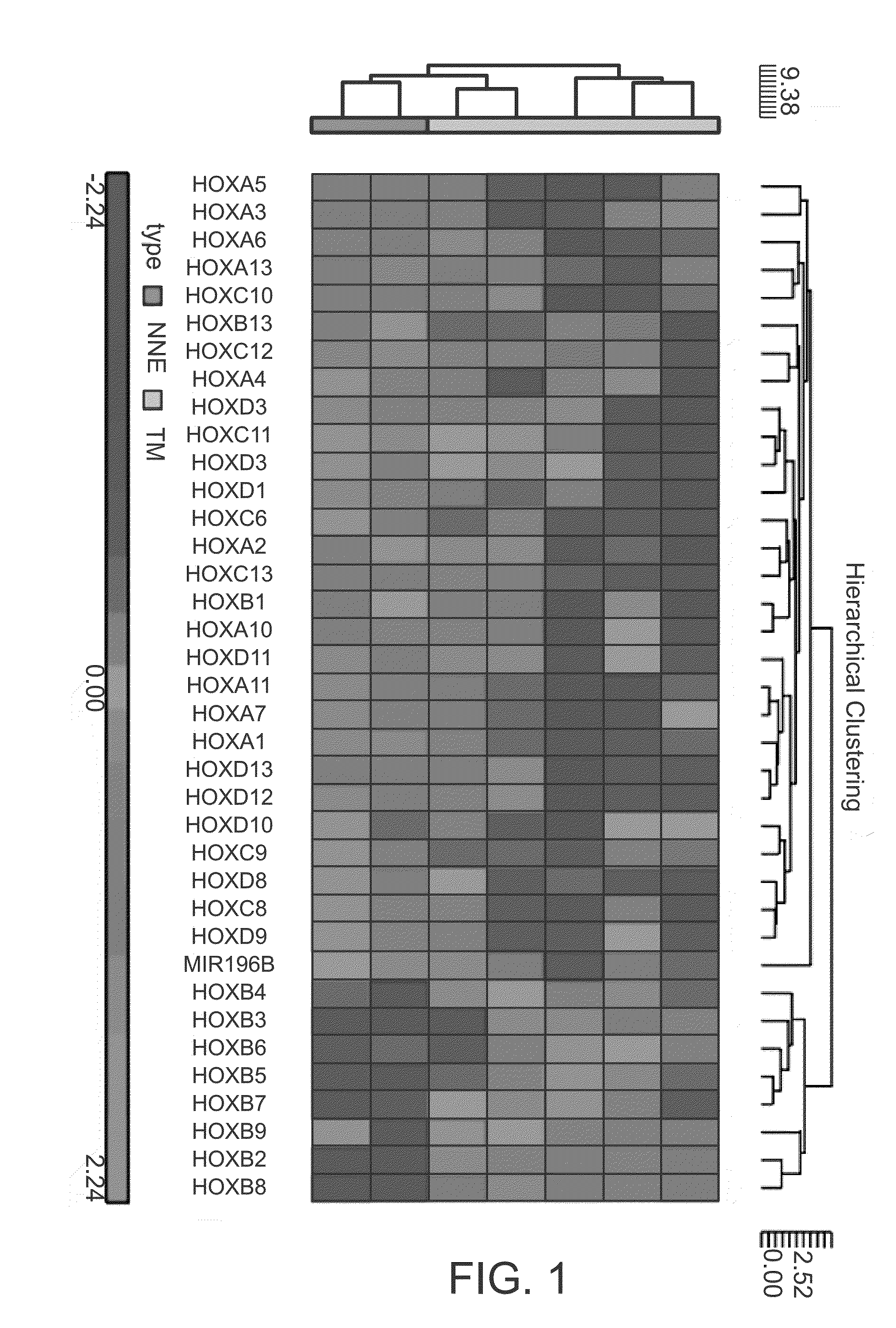 Hoxc6 and ovarian cancer methods and uses thereof