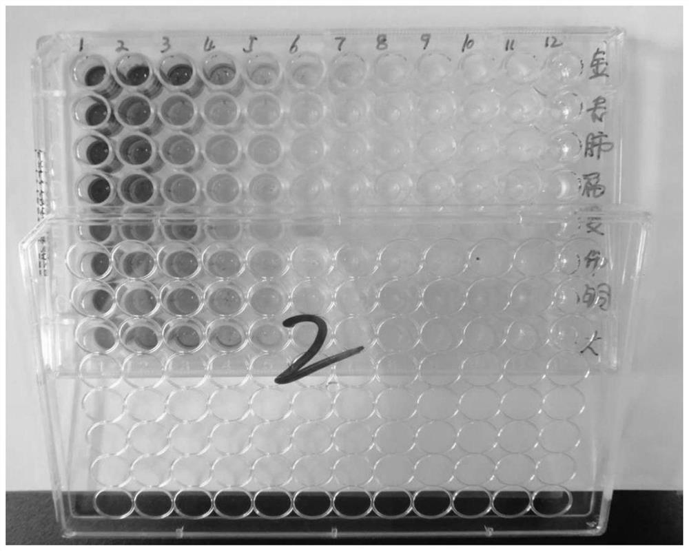 Application of cerasus humilis extract in preparation of antibacterial products