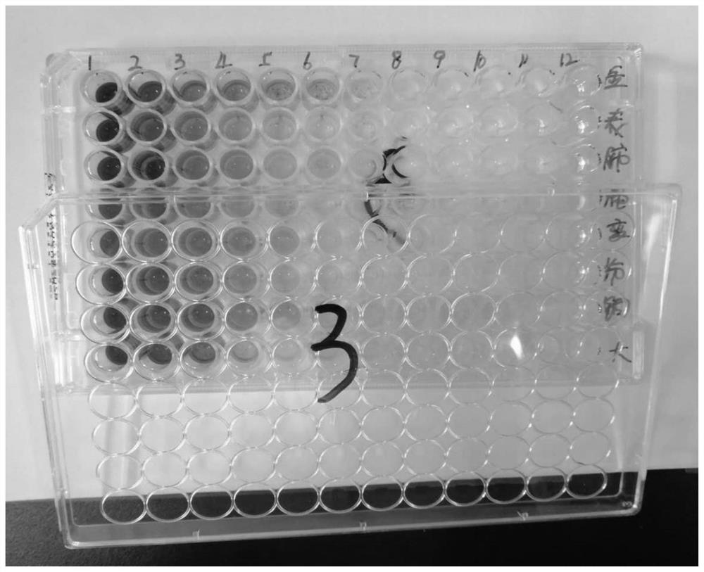 Application of cerasus humilis extract in preparation of antibacterial products