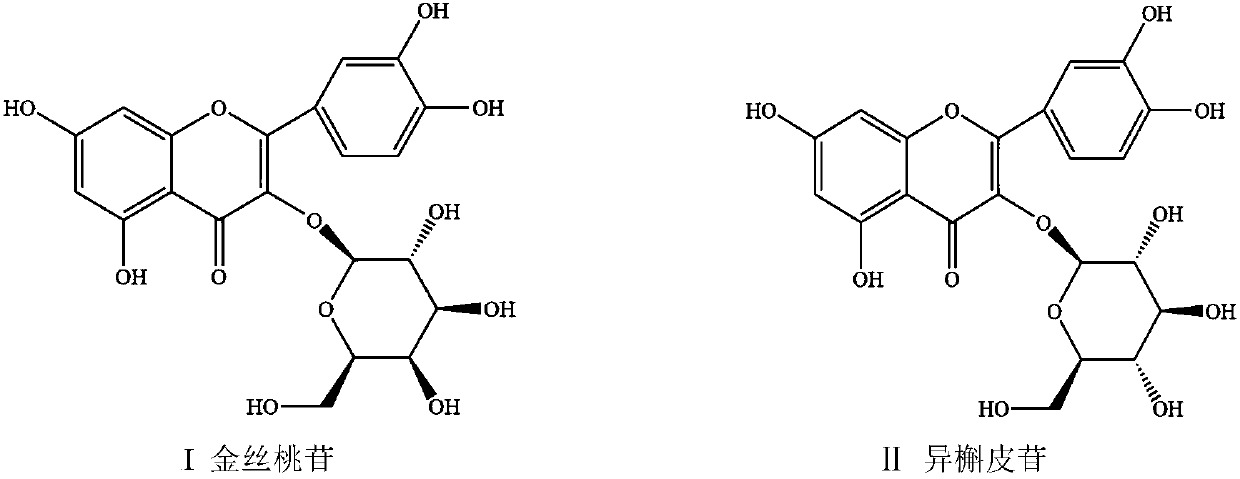 Method for separating and purifying hyperoside and isoquercitroside from aurea helianthus
