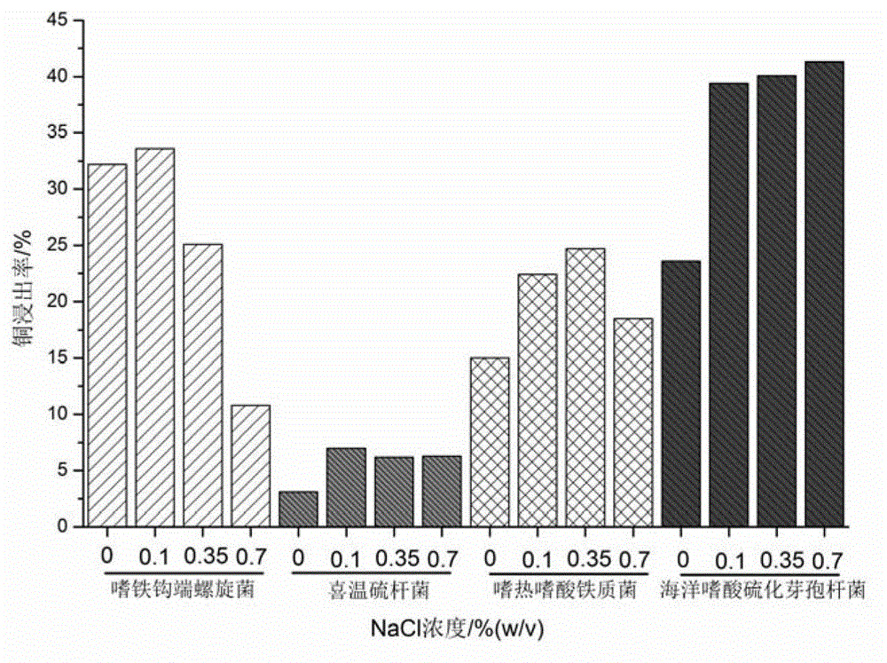 Compound bacterium community capable of efficiently leaching sulphide ore, and compounding method and application method thereof