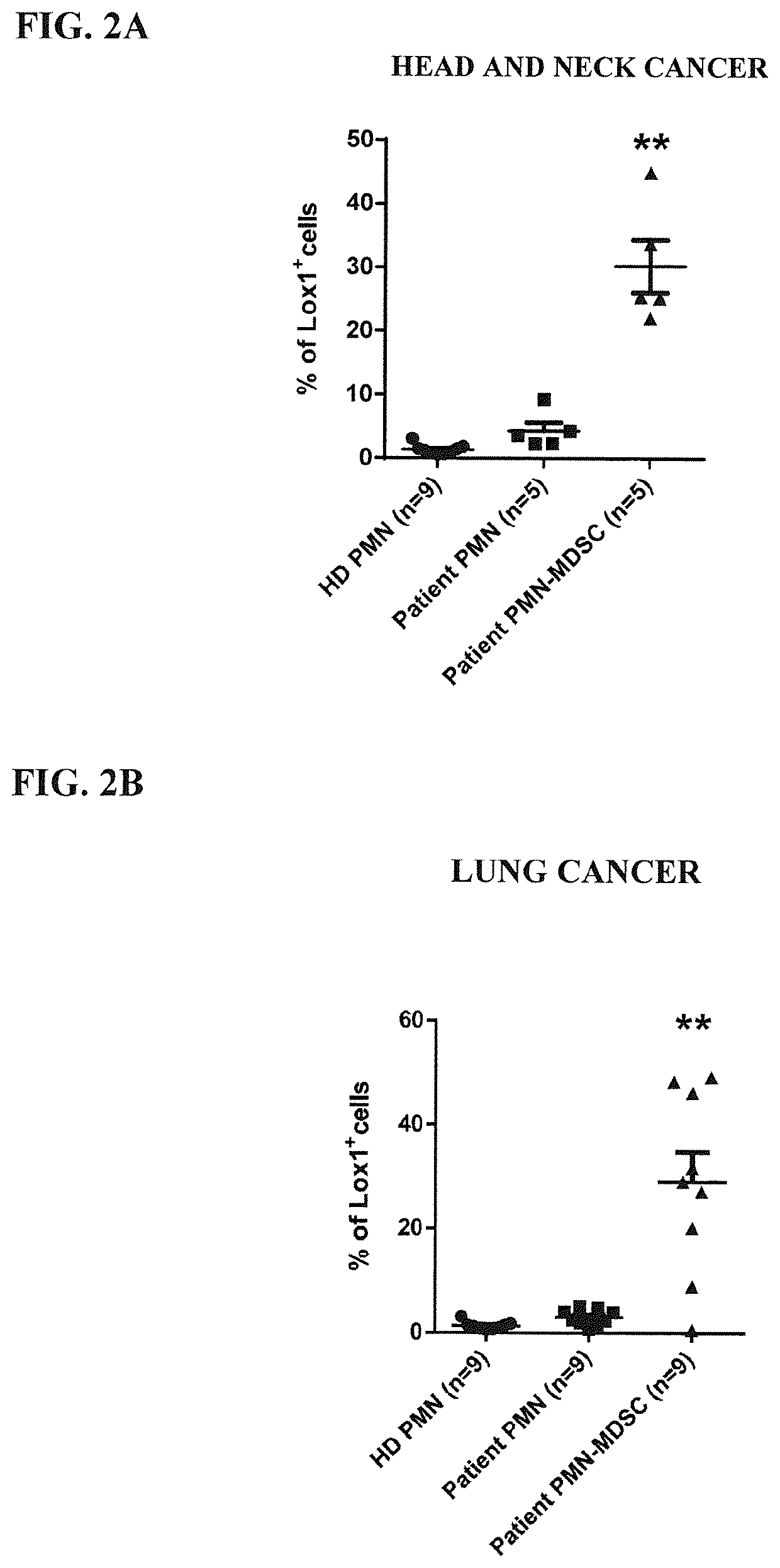 Methods for Monitoring Polymorphonuclear Myeloid Derived Suppressor Cells and Compositions and Methods of Treatment of Cancer