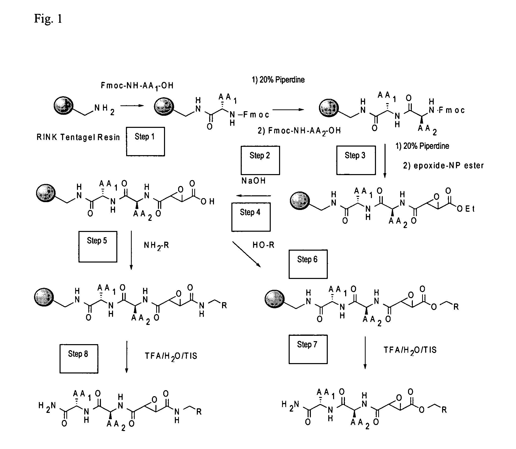Synthesis of epoxide based inhibitors of cysteine proteases