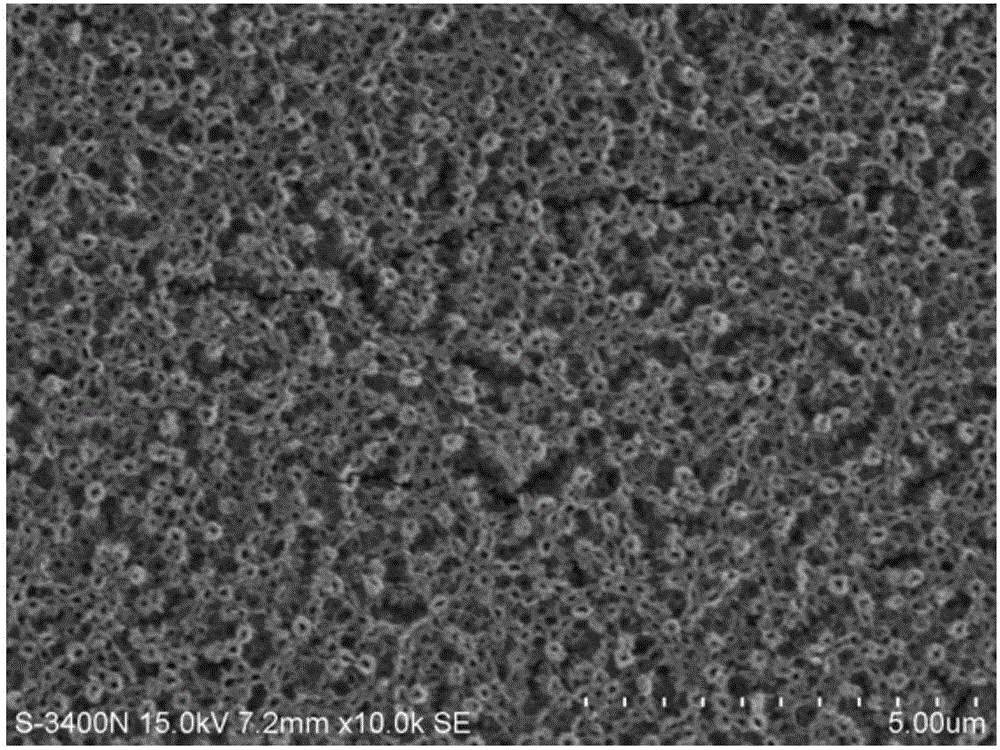 Preparation method of copper oxide/titanium dioxide composite nanotube arrays