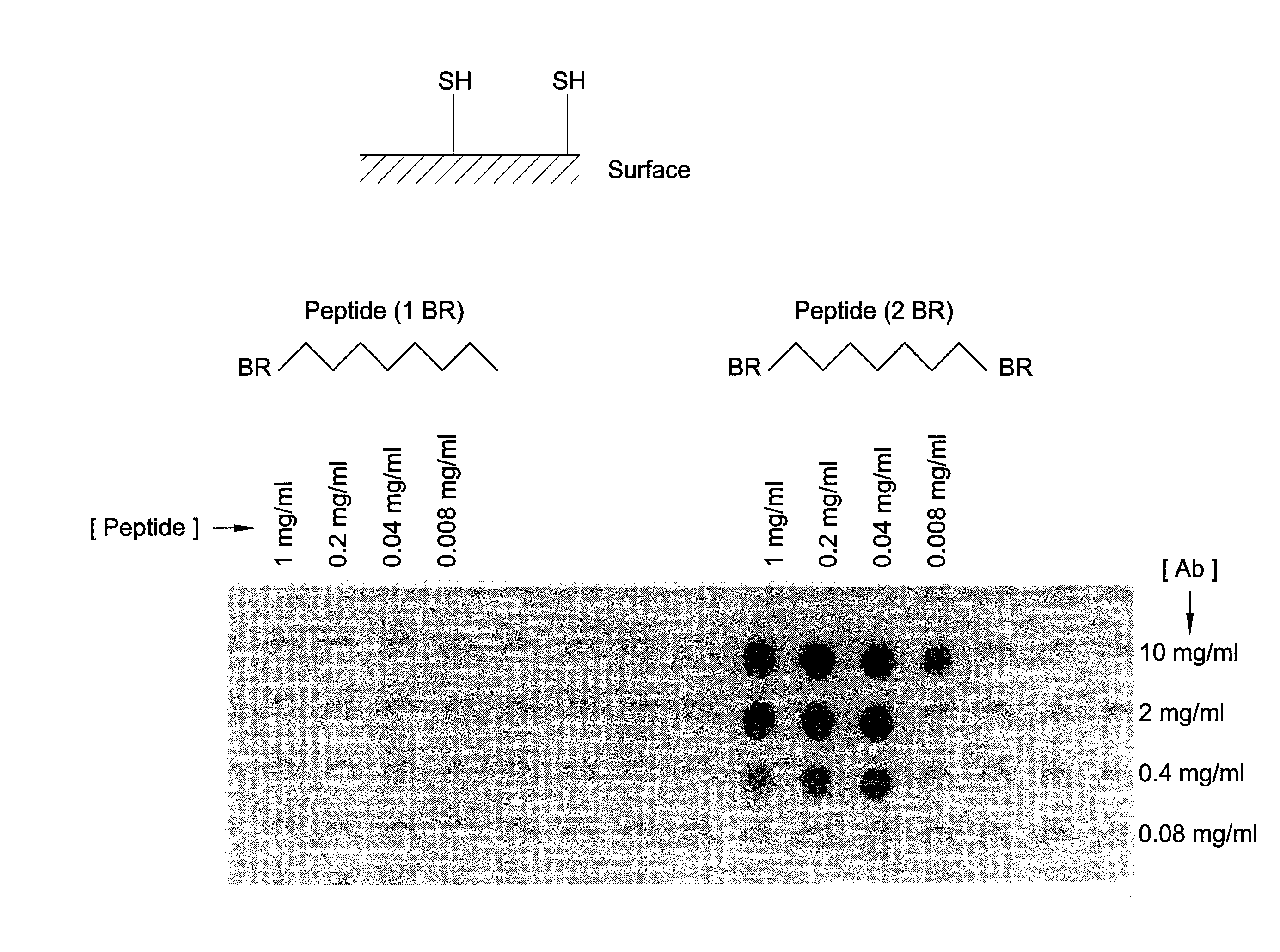 Identification of protein binding sites