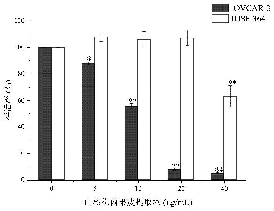 Application of hickory nut endocarp extract in the preparation of anti-ovarian cancer products