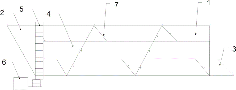 Scaling machine for tilapia mossambica