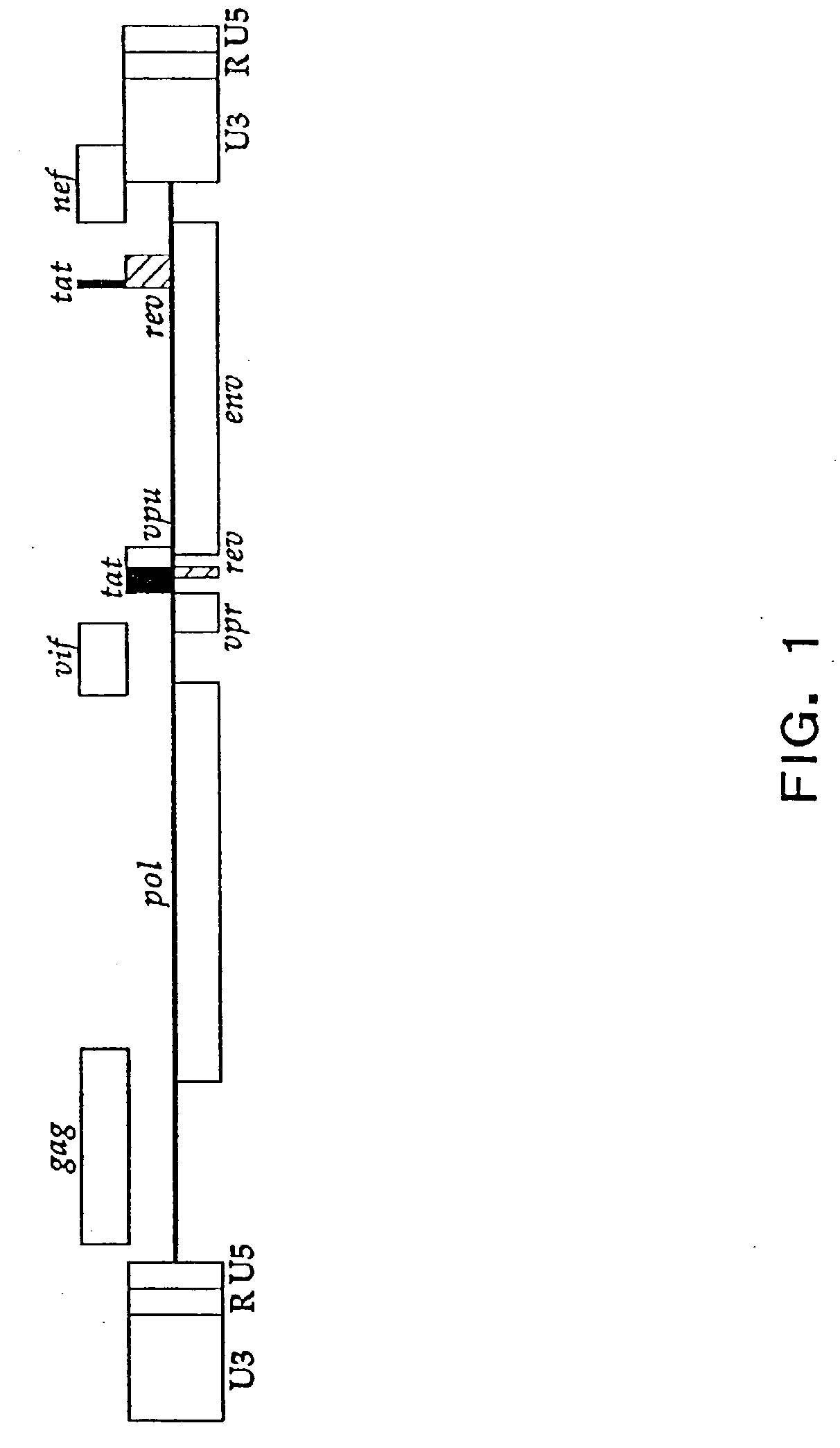 Compositions and methods for determining the susceptibility of a pathogenic virus to protease inhibitors