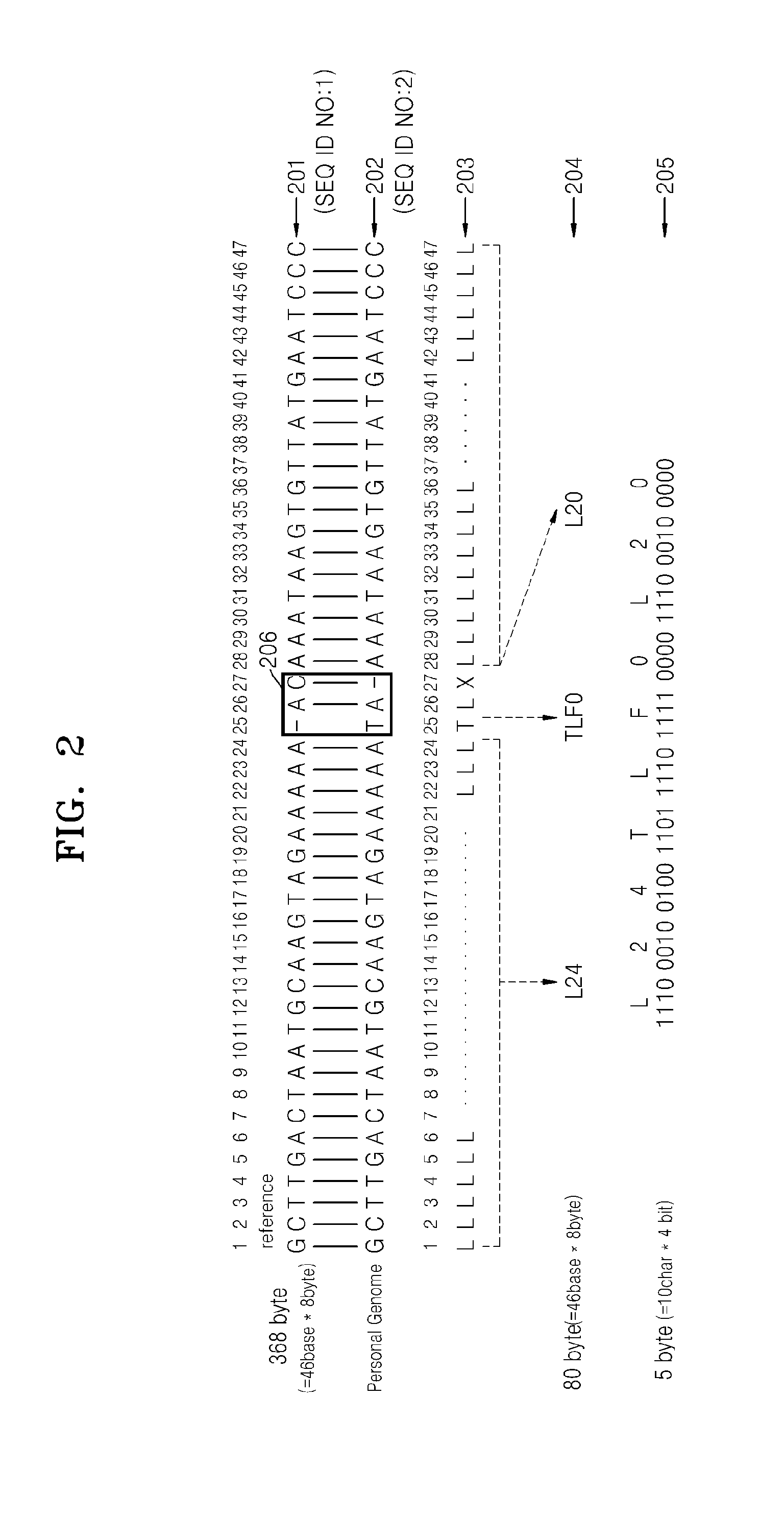 Method and apparatus for searching nucleic acid sequence