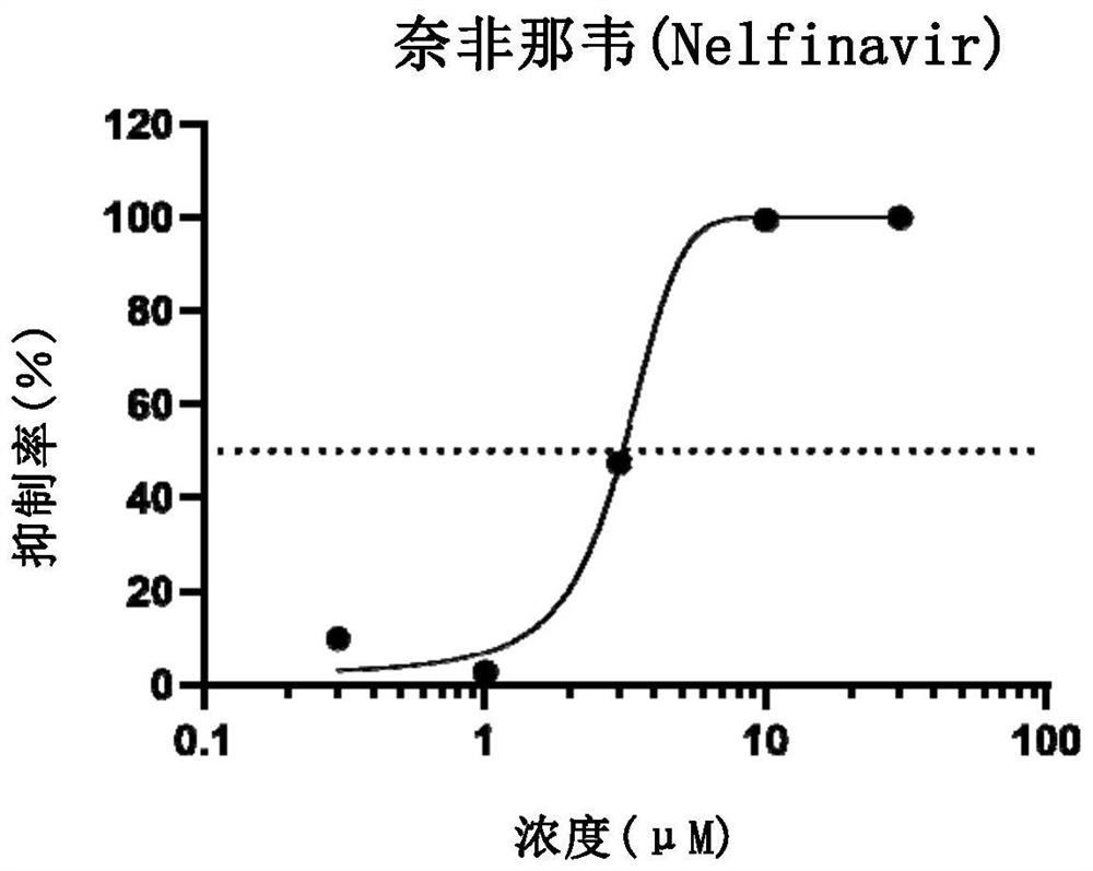 Application of nelfinavir in preparation of medicine for preventing and treating COVID-19