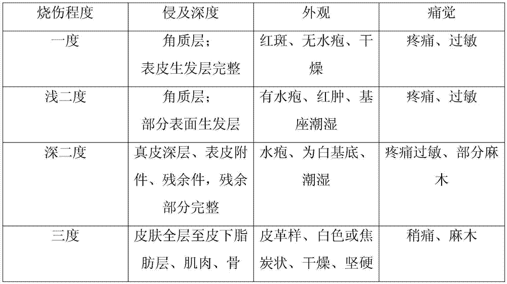 Composition for treating burns and scalds and preparation method of spray of composition