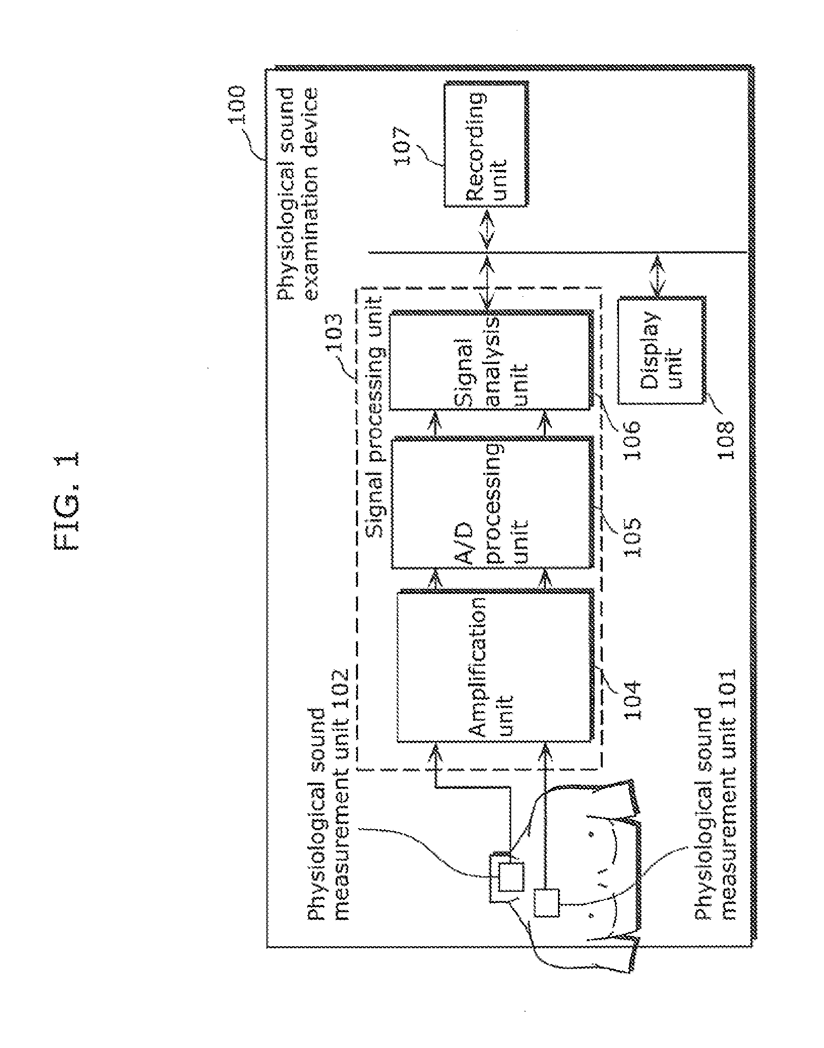 Physiological sound examination device and physiological sound examination method