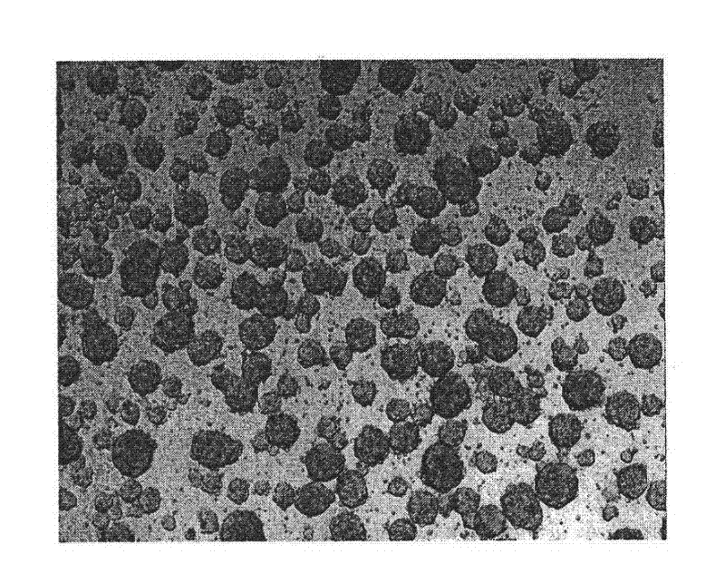 Neural stem cell capable of self-renewing, preparation method and application thereof