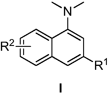 N,N-dimethyl-1-naphthylamine compound preparation method