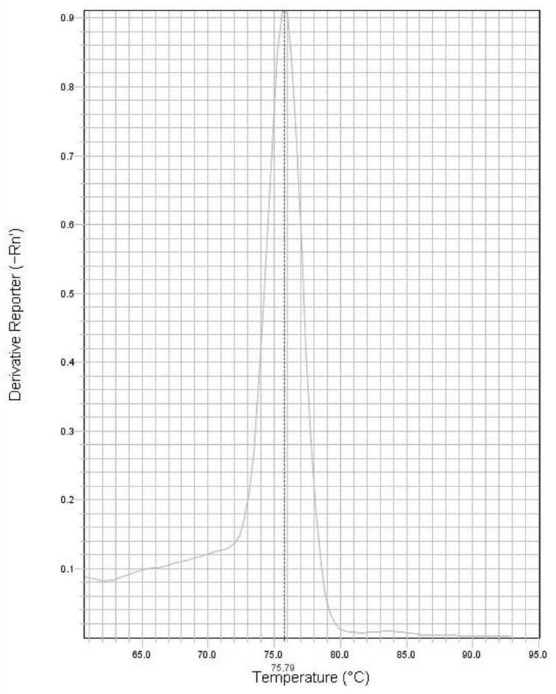 Kit and method for detecting lumpy skin disease viruses