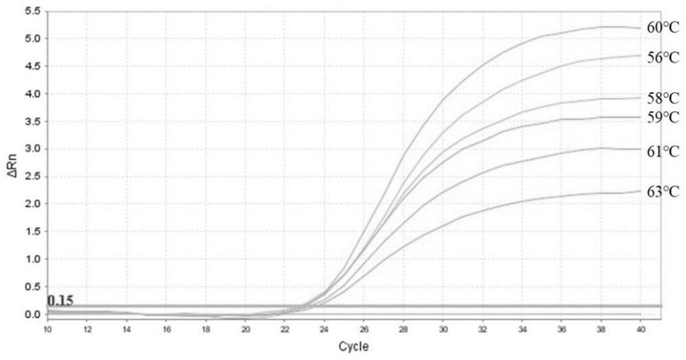 Kit and method for detecting lumpy skin disease viruses