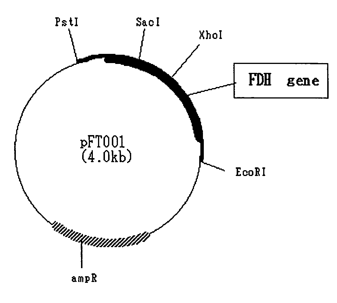 Formate dehydrogenase tolerant to halogen compounds and process for producing the same