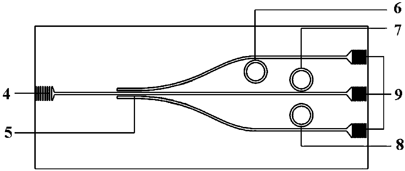 Three-ring-shaped athermalized biosensor