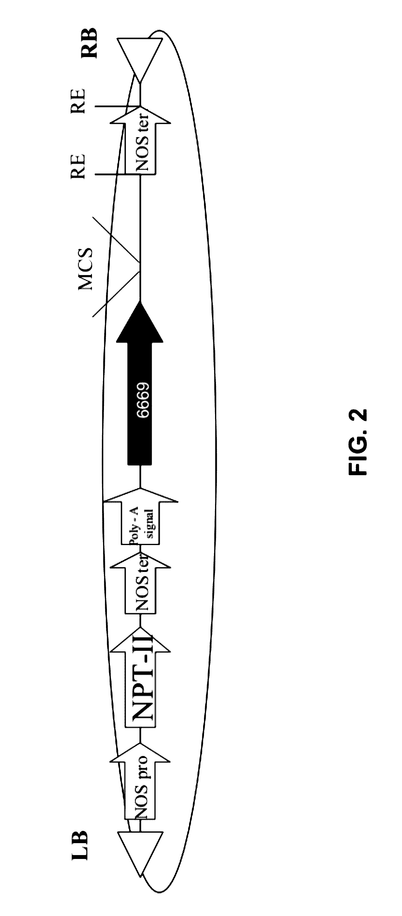 Isolated polynucleotides and polypeptides and methods of using same for increasing plant yield, biomass, growth rate, vigor, oil content, abiotic stress tolerance of plants and nitrogen use efficiency