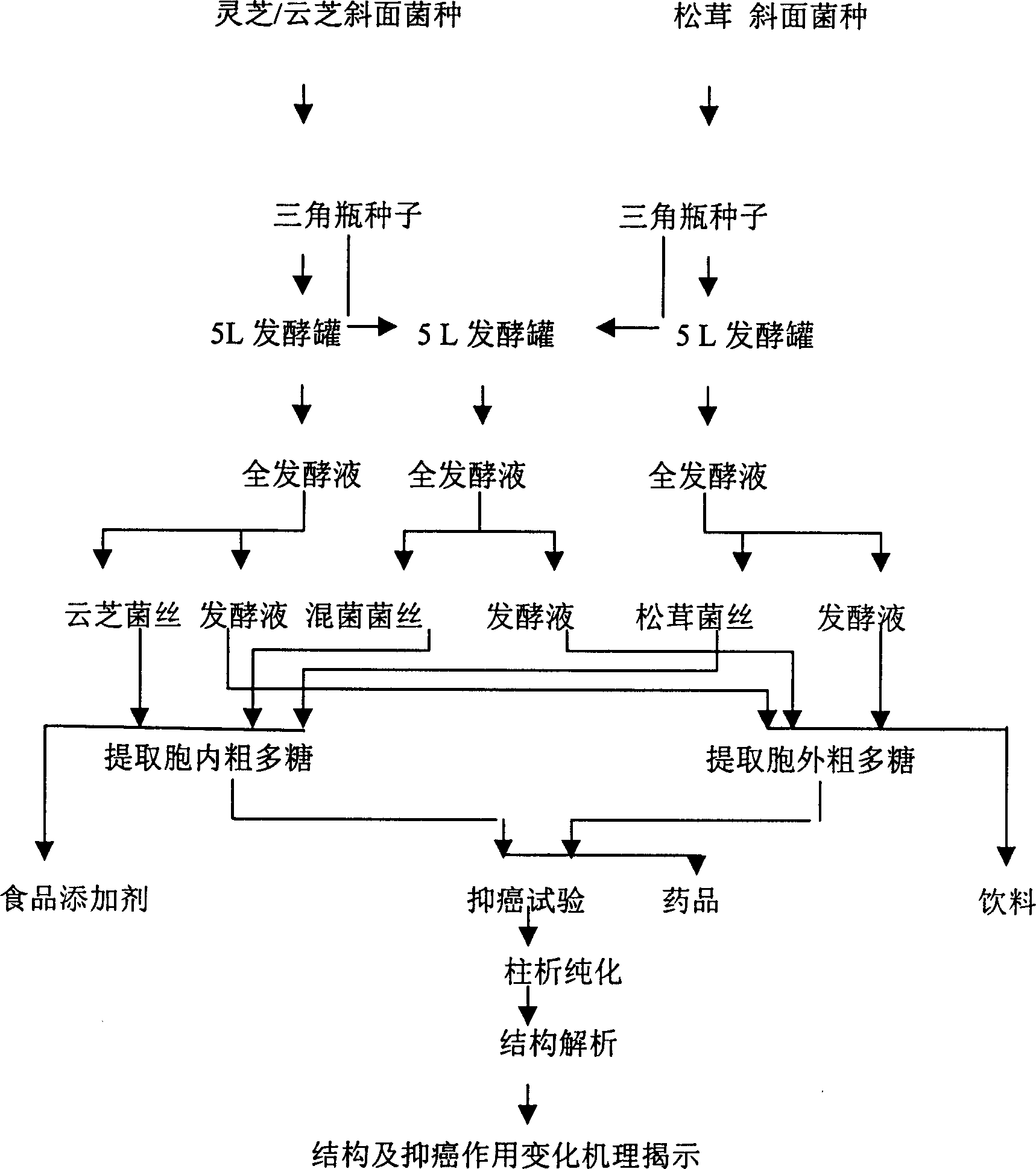 Agaric pilose mixed fungus fermentation culturing method and its culturing medium and product